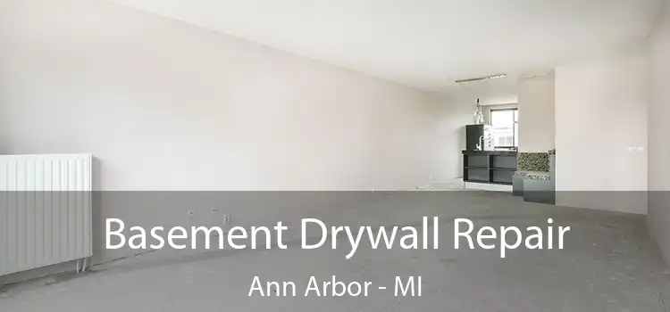 Basement Drywall Repair Ann Arbor - MI