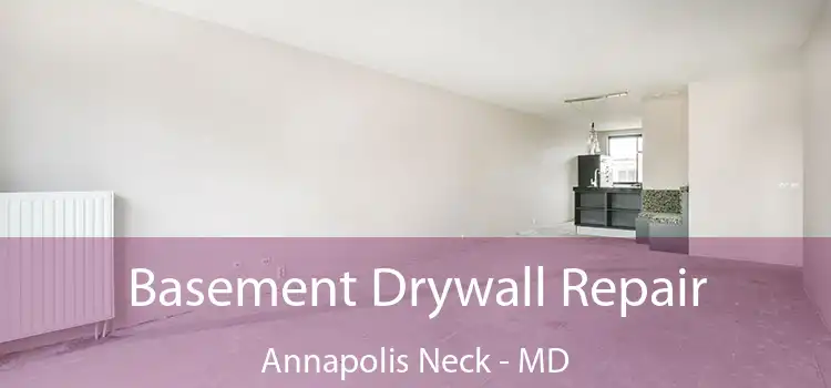  Basement Drywall Repair Annapolis Neck - MD