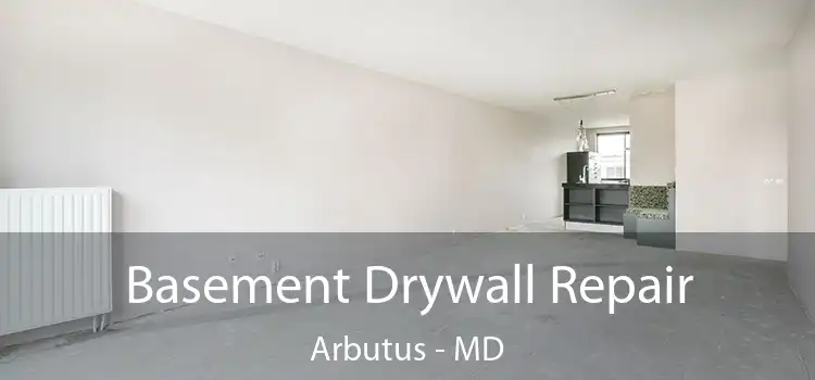 Basement Drywall Repair Arbutus - MD