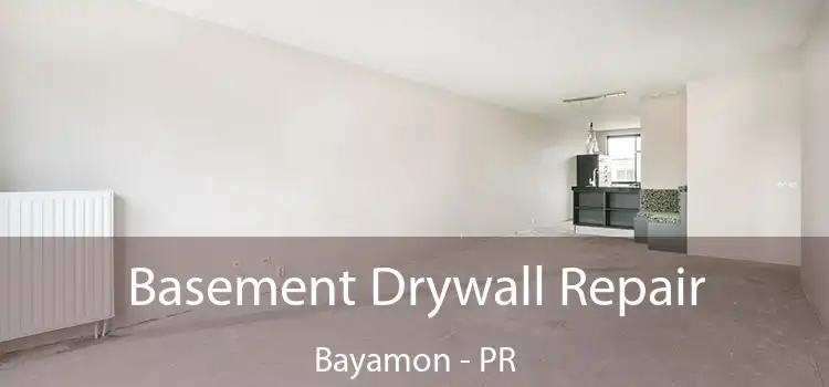  Basement Drywall Repair Bayamon - PR