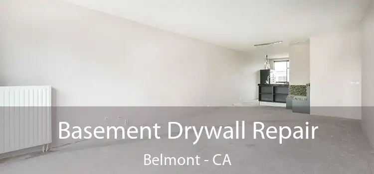  Basement Drywall Repair Belmont - CA