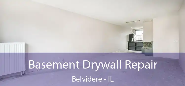  Basement Drywall Repair Belvidere - IL