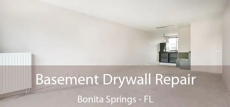 Basement Drywall Repair Bonita Springs - FL