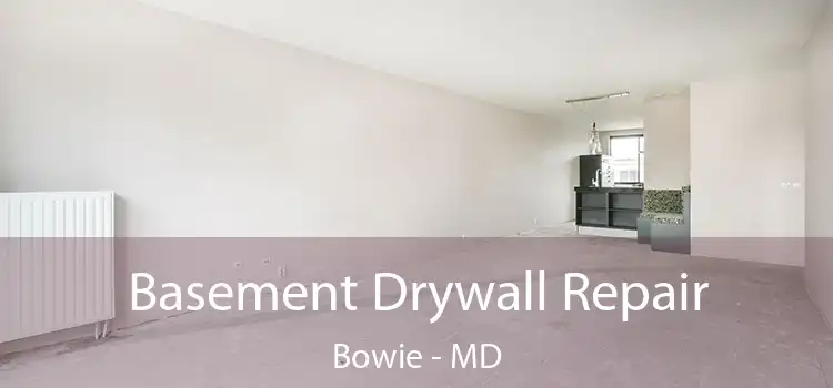 Basement Drywall Repair Bowie - MD