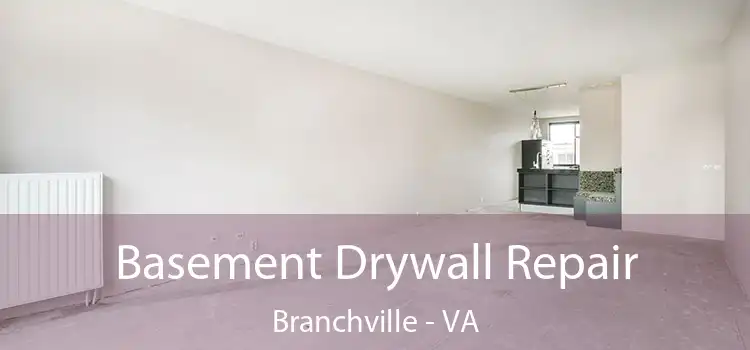 Basement Drywall Repair Branchville - VA
