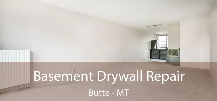 Basement Drywall Repair Butte - MT
