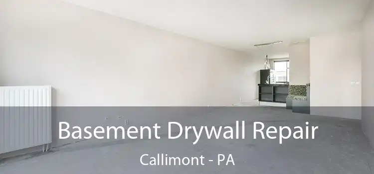 Basement Drywall Repair Callimont - PA