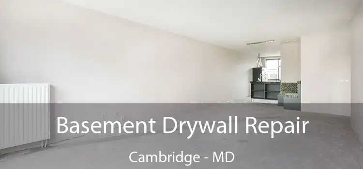 Basement Drywall Repair Cambridge - MD