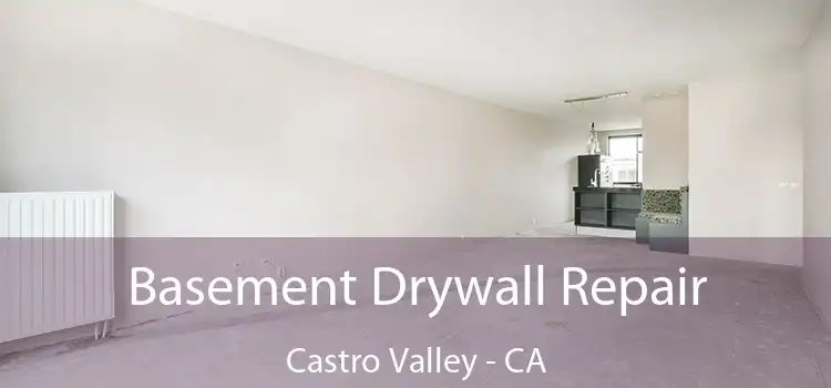  Basement Drywall Repair Castro Valley - CA