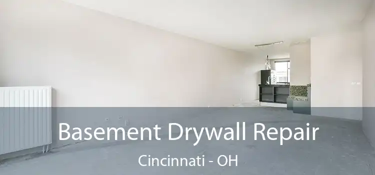  Basement Drywall Repair Cincinnati - OH
