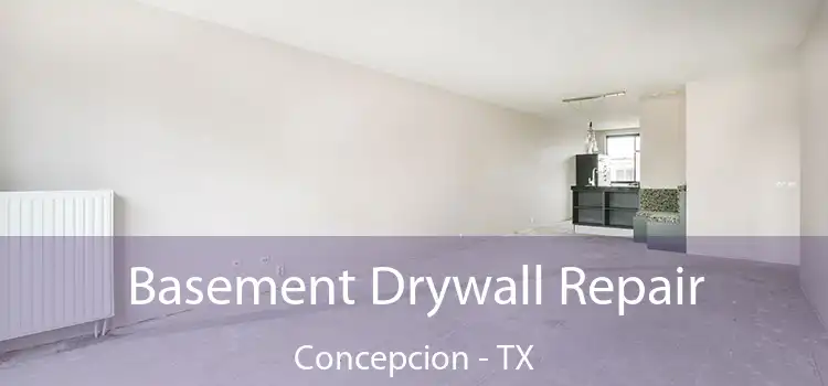 Basement Drywall Repair Concepcion - TX
