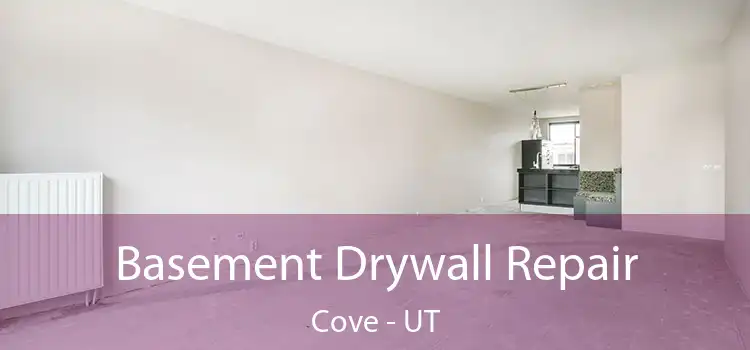 Basement Drywall Repair Cove - UT