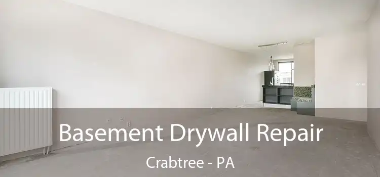 Basement Drywall Repair Crabtree - PA