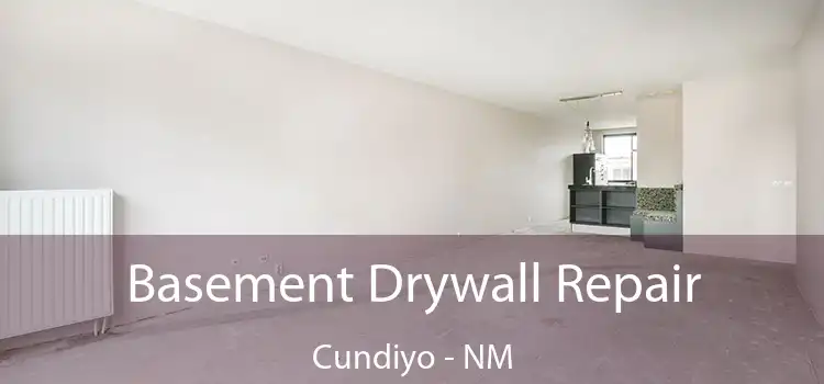 Basement Drywall Repair Cundiyo - NM
