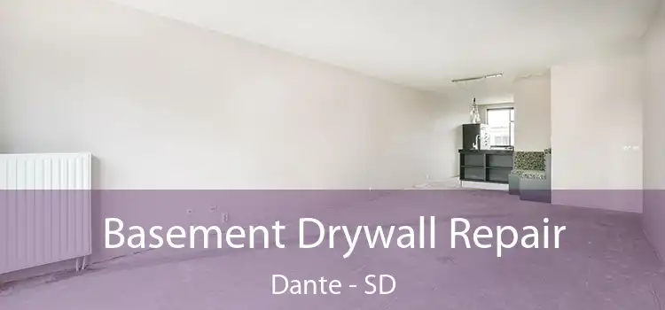 Basement Drywall Repair Dante - SD