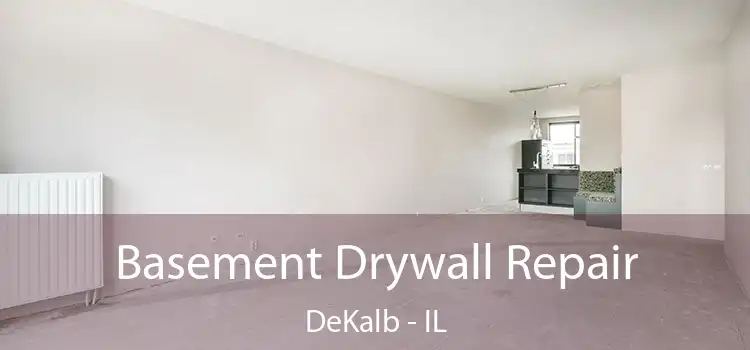 Basement Drywall Repair DeKalb - IL
