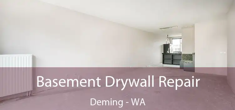  Basement Drywall Repair Deming - WA