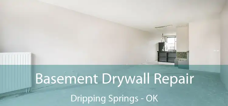 Basement Drywall Repair Dripping Springs - OK