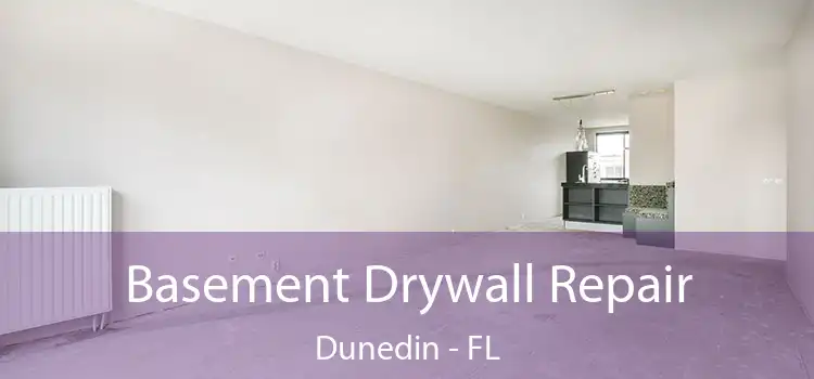  Basement Drywall Repair Dunedin - FL