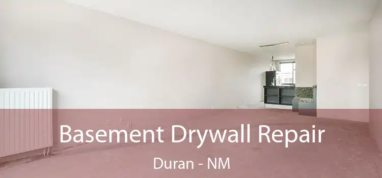 Basement Drywall Repair Duran - NM