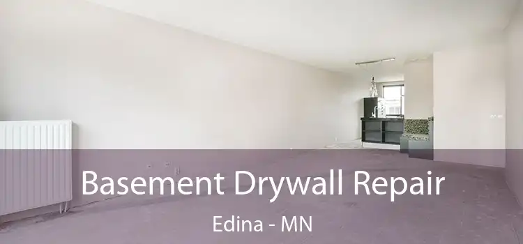 Basement Drywall Repair Edina - MN