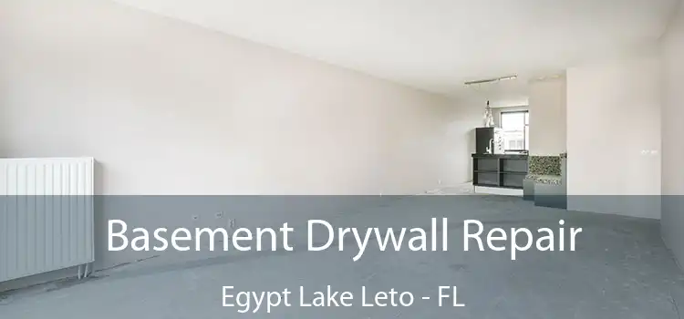  Basement Drywall Repair Egypt Lake Leto - FL