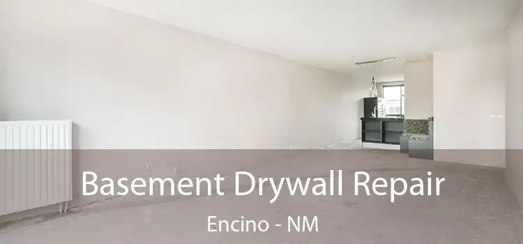 Basement Drywall Repair Encino - NM