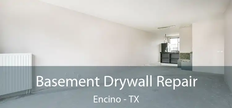 Basement Drywall Repair Encino - TX