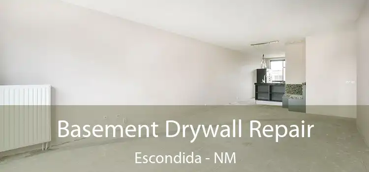 Basement Drywall Repair Escondida - NM