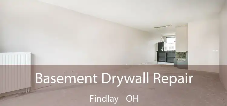 Basement Drywall Repair Findlay - OH