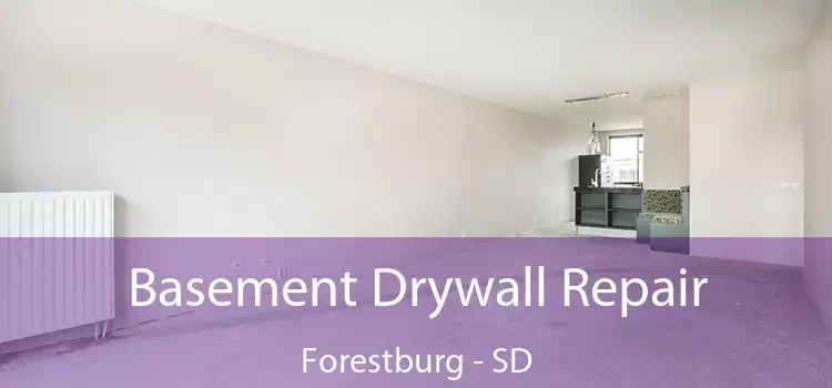 Basement Drywall Repair Forestburg - SD