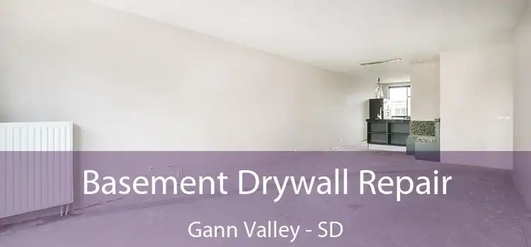 Basement Drywall Repair Gann Valley - SD