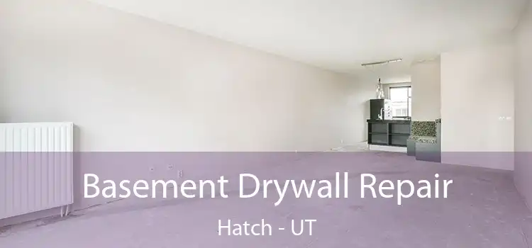 Basement Drywall Repair Hatch - UT