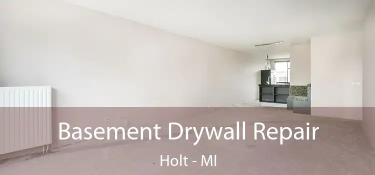 Basement Drywall Repair Holt - MI