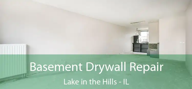 Basement Drywall Repair Lake in the Hills - IL