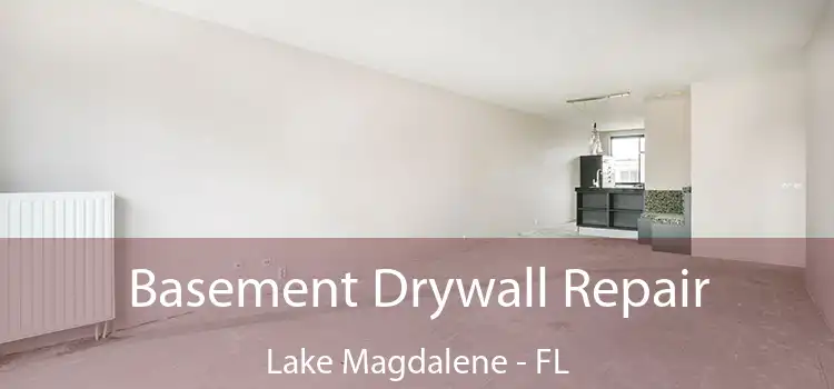  Basement Drywall Repair Lake Magdalene - FL