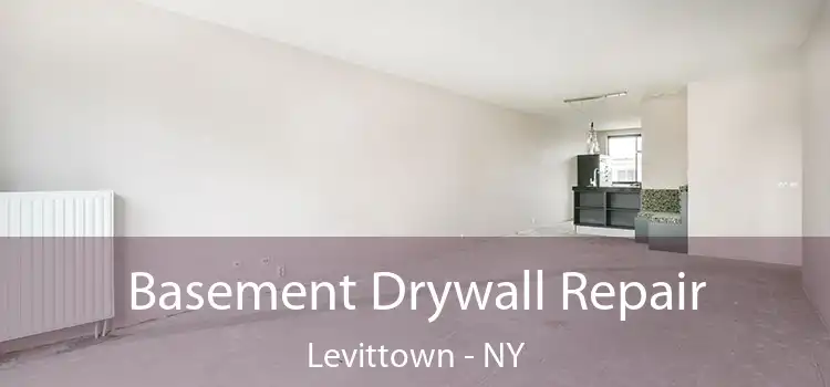  Basement Drywall Repair Levittown - NY