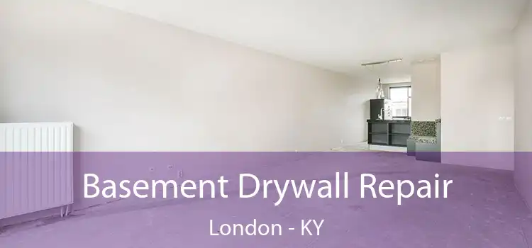  Basement Drywall Repair London - KY