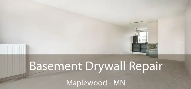 Basement Drywall Repair Maplewood - MN