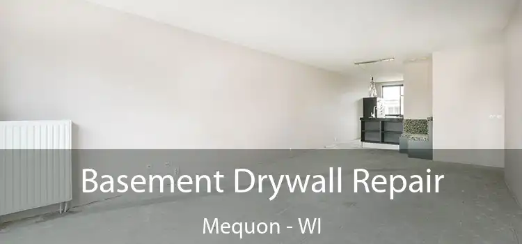 Basement Drywall Repair Mequon - WI