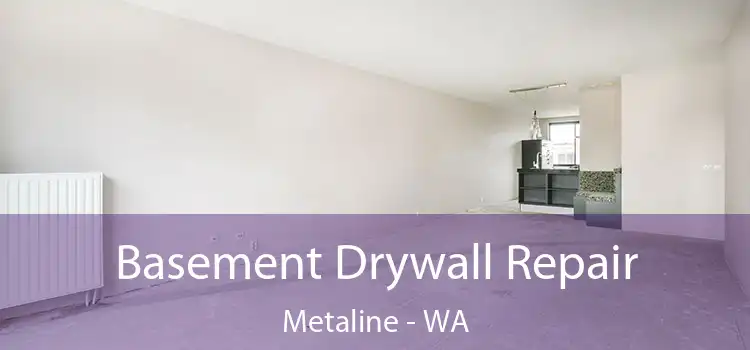  Basement Drywall Repair Metaline - WA