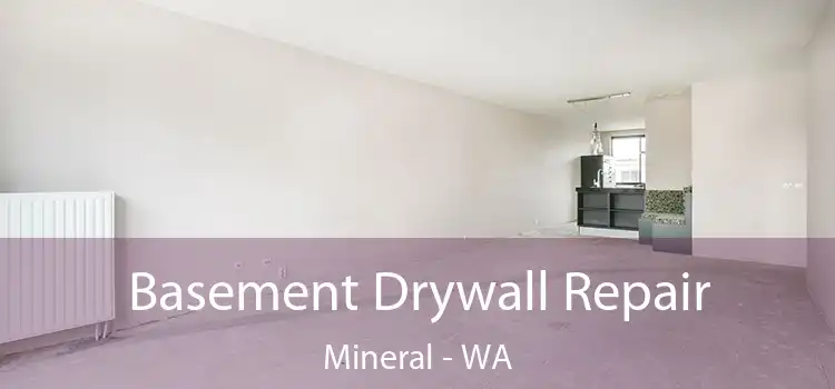  Basement Drywall Repair Mineral - WA