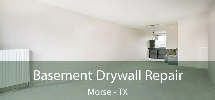 Basement Drywall Repair Morse - TX