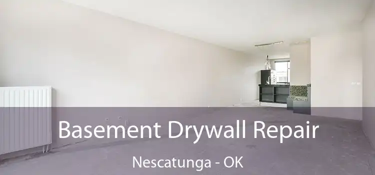Basement Drywall Repair Nescatunga - OK