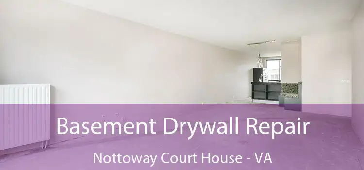  Basement Drywall Repair Nottoway Court House - VA