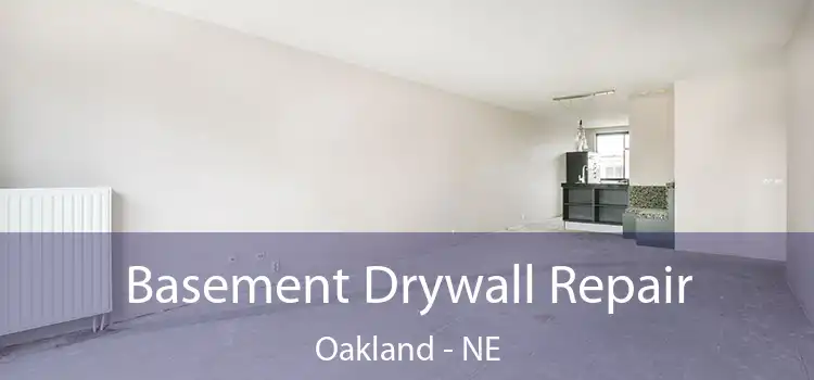  Basement Drywall Repair Oakland - NE