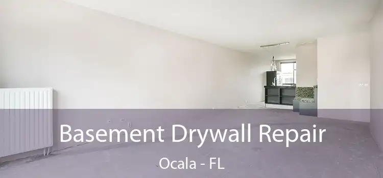 Basement Drywall Repair Ocala - FL