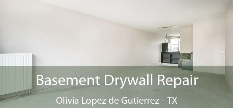  Basement Drywall Repair Olivia Lopez de Gutierrez - TX