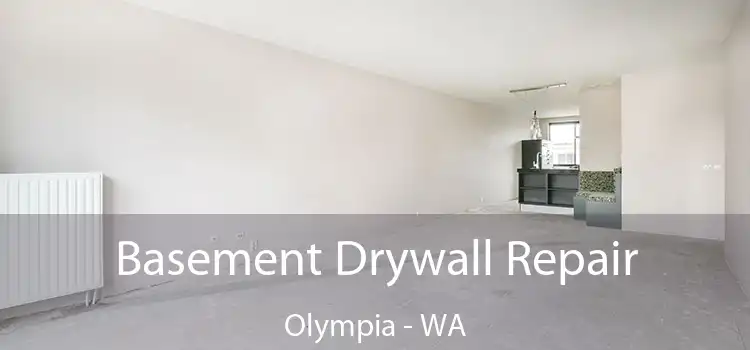  Basement Drywall Repair Olympia - WA