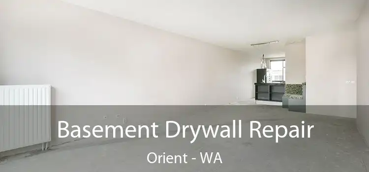  Basement Drywall Repair Orient - WA